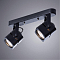 Спот Arte Lamp A1315PL-2BK